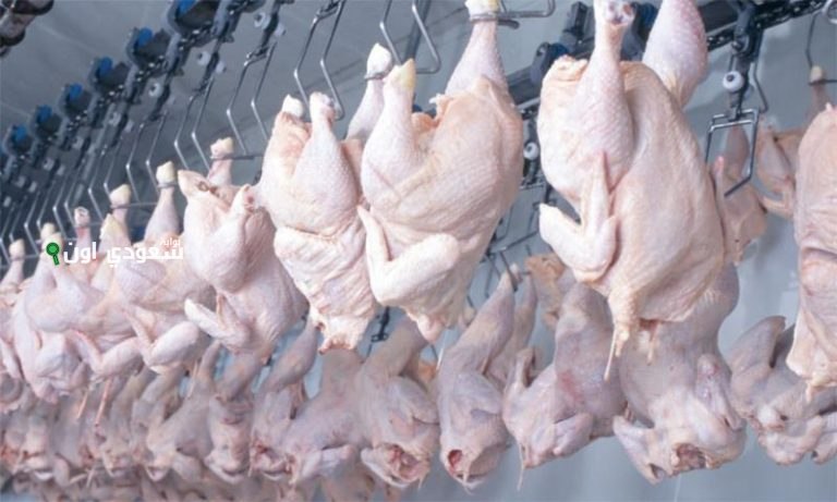استقرار سعر الفراخ المجمدة اليوم في المحلات التجارية والسلاسل الكبرى