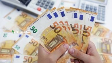 استقرار سعر اليورو اليوم في مصر وسط توقعات بارتفاع جديد