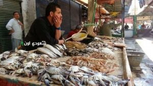 اسعار الجمبري والكابوريا اليوم