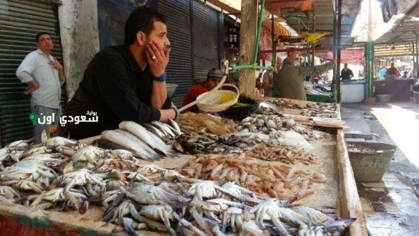 اسعار الجمبري والكابوريا اليوم