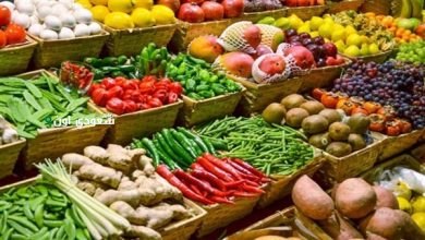 اسعار الخضروات في مصر