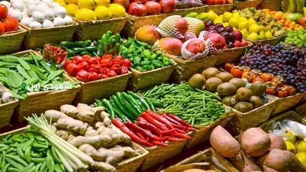 اسعار الخضروات في مصر