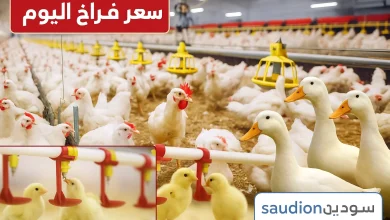 اسعار الفراخ اليوم