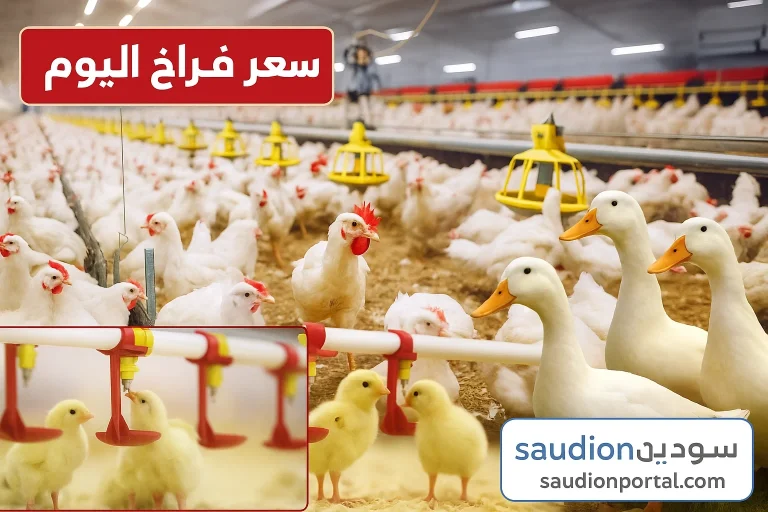 اسعار الفراخ اليوم