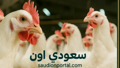 اسعار الفراخ اليوم