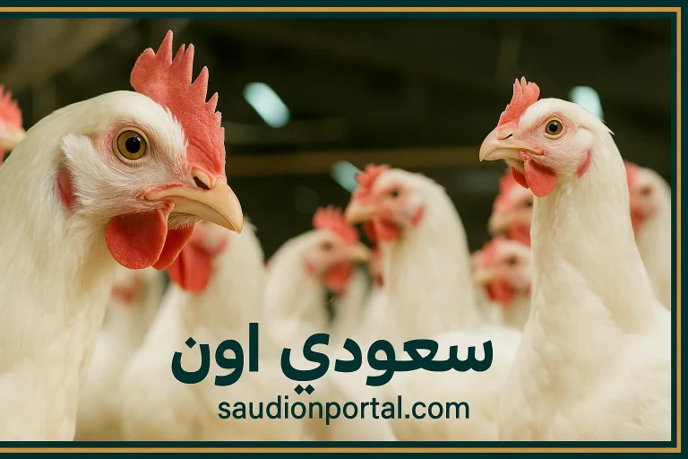 اسعار الفراخ اليوم