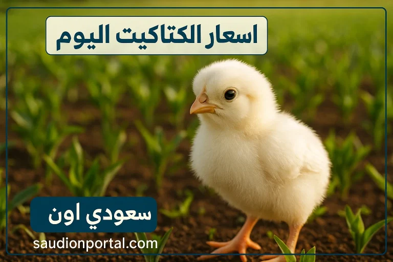 اسعار الكتاكيت اليوم