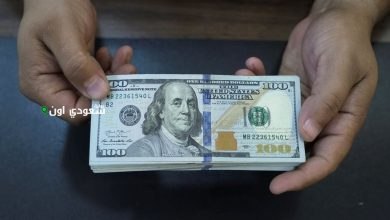 الأخضر بكام؟! سعر صرف الدولار الأمريكي أمام الجنيه المصري اليوم في البنوك والسوق الموازية