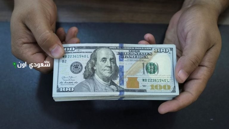 الأخضر بكام؟! سعر صرف الدولار الأمريكي أمام الجنيه المصري اليوم في البنوك والسوق الموازية