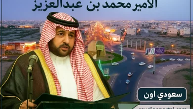 الأمير محمد بن عبدالعزيز