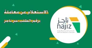 الاستعلامات الإلكترونية عبر ناجز