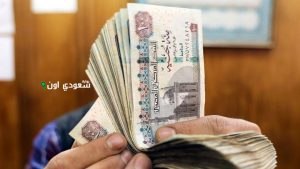 البشارة وصلت زيادة المعاشات في مصر