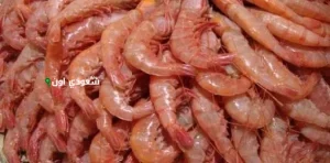 الجمبري وصل كام اليوم