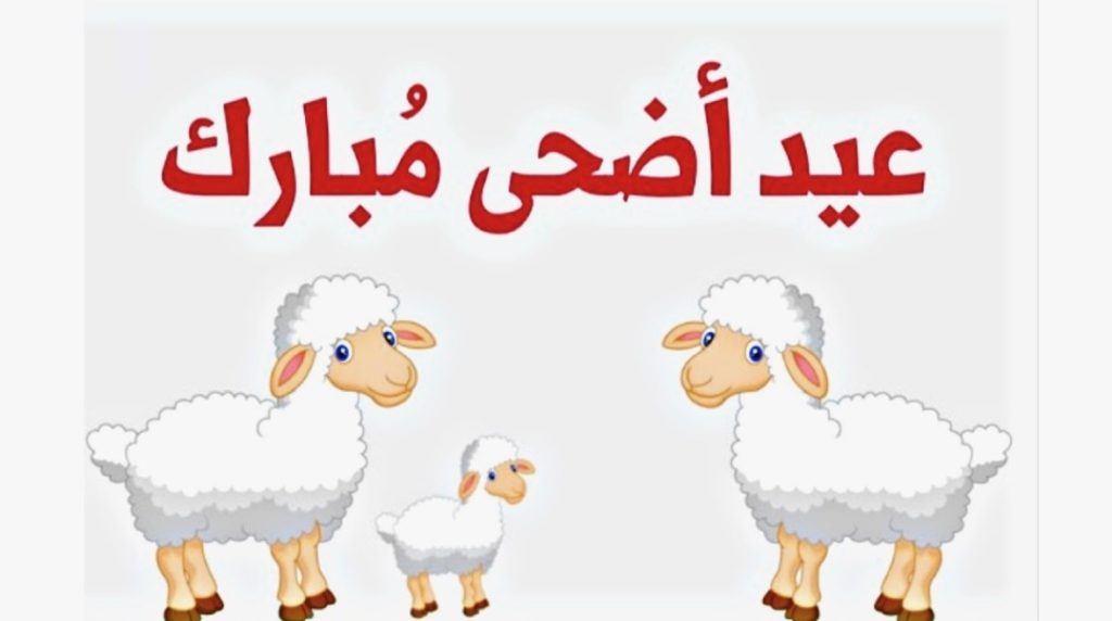 الحكومة الجزائرية تعلن مواعيد