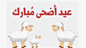 الحكومة الجزائرية تعلن مواعيد إجازة عيد الأضحى المبارك 2025 رسميا للموظفين والطلاب في الدولة