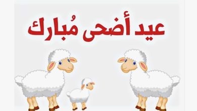 الحكومة الجزائرية تعلن مواعيد إجازة عيد الأضحى المبارك 2025 رسميا للموظفين والطلاب في الدولة