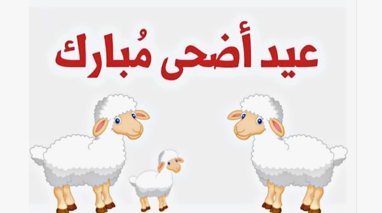 الحكومة الجزائرية تعلن مواعيد إجازة عيد الأضحى المبارك 2025 رسميا للموظفين والطلاب في الدولة