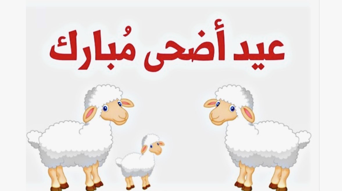 الحكومة الجزائرية تعلن مواعيد إجازة عيد الأضحى المبارك 2025 رسميا للموظفين والطلاب في الدولة