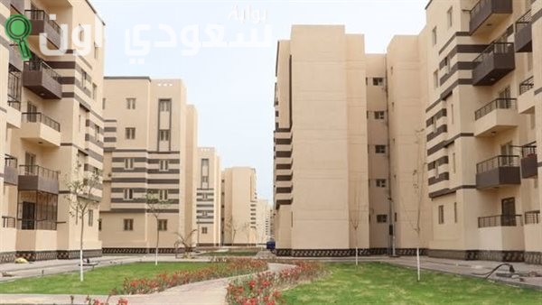 الحكومة المصرية