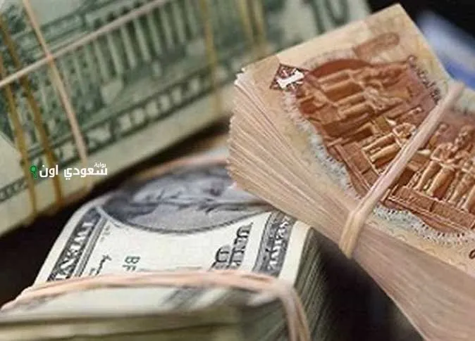 الدولار يتحدى الجنيه المصري اليوم