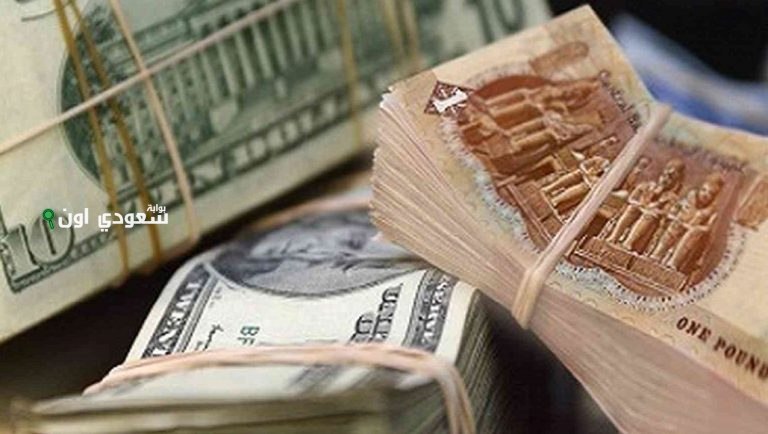 سعر الدولار يواصل التراجع أمام الجنيه المصري
