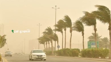 برياح قوية في منطقة تبوك خلال الأيام المقبلة