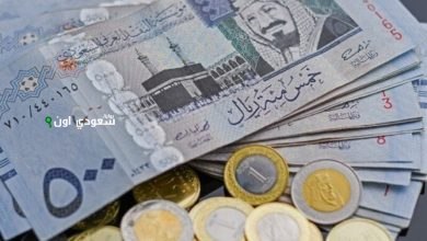 الريال السعودي مقابل الجنيه المصري