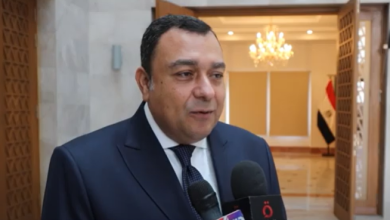 السفير إيهاب فهمي