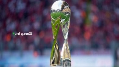 كأس فرانز بيكنباور