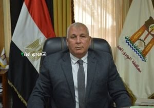 محافظ الوادي الجديد