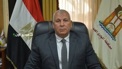 محافظ الوادي الجديد