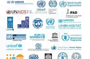 116 منظمة دولية ومحلية تدعو لإنقاذ اليمن