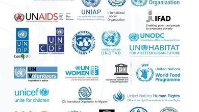 116 منظمة دولية ومحلية تدعو لإنقاذ اليمن