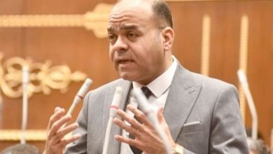النائب عمرو القماطي