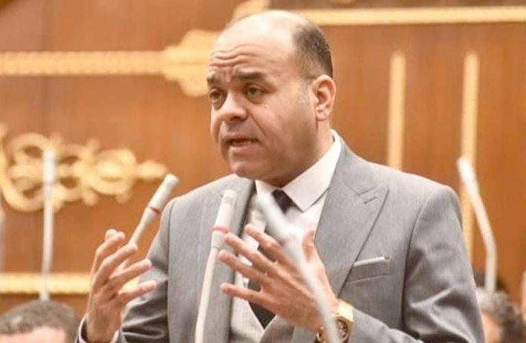 النائب عمرو القماطي