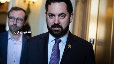 مايك لولر