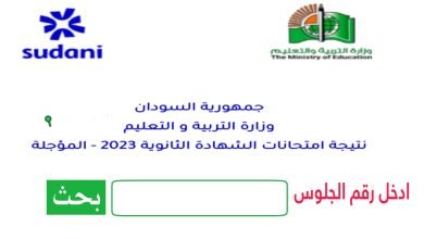 النتيجة رسمية.. نتائج الشهادة السودانية 2025 ظهرت دلوقتي على الموقع وعمّلت ضجة رهيبة