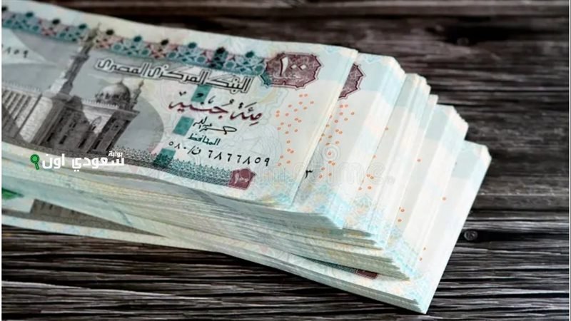 «الهيئة القومية للتأمين الاجتماعي»