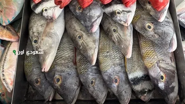 اليك اسعار الاسماك اليوم السبت 26 مايو في مصر للمستهلك
