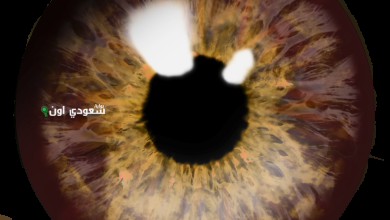 جمع كلمة "بؤبؤ"