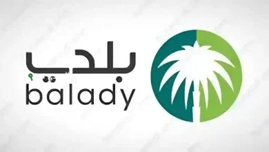 بلدي