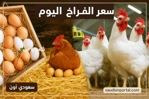 بورصة الدواجن