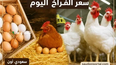 بورصة الدواجن