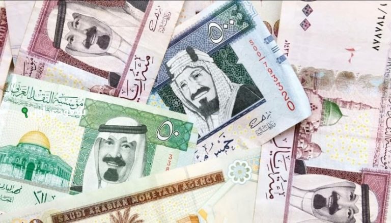 تحديثات سعر الريال السعودي اليوم الاحد 25 مايو 2025 في البنوك المصرية والسوق الموازية