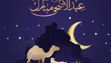 تحديد موعد بدء وانتهاء إجازة عيد الأضحى المبارك في مصر