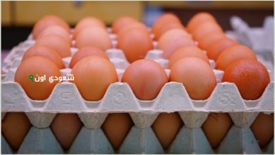 تحليل سوق البيض في مصر اليوم