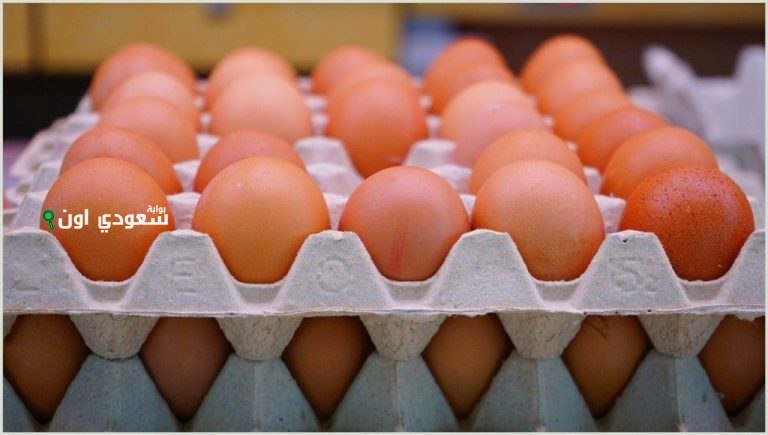 تحليل سوق البيض في مصر اليوم