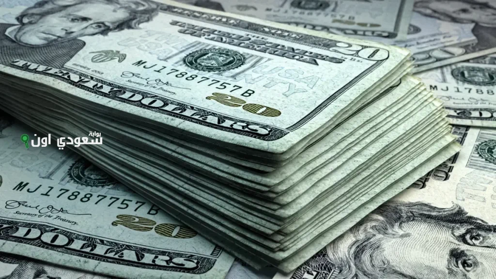 تذبذب كبير.. سعر الدولار