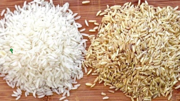 تراجع قوي.. سعر الأرز الشعير اليوم السبت 17 مايو 2025 يُقلق المزارعين والمستهلكين رسميًا