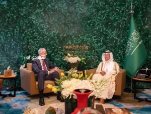 وزير الطاقة يناقش مع الرئيس المعيَّن لمؤتمر الأطراف COP30